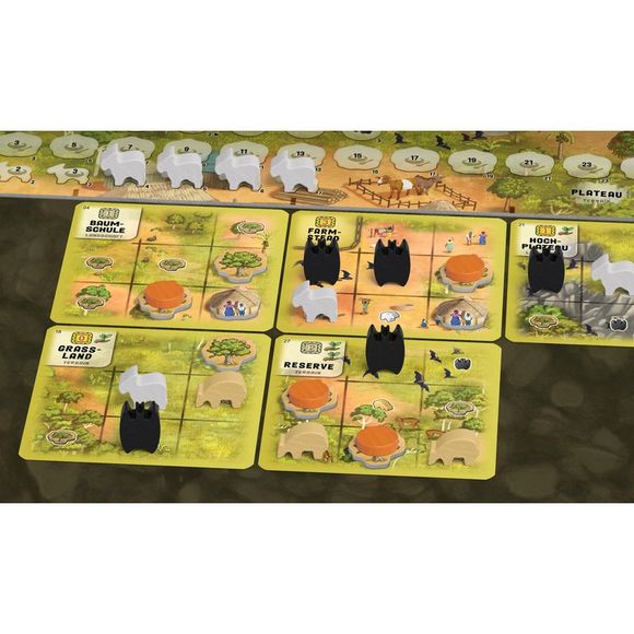 Atiwa Worker Placement Game - Picture 3 of 4